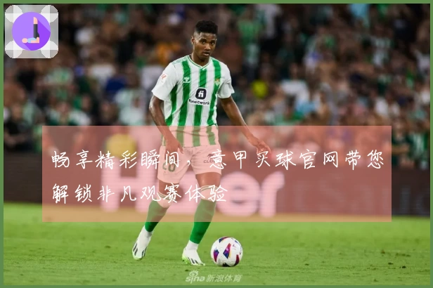 畅享精彩瞬间，意甲买球官网带您解锁非凡观赛体验