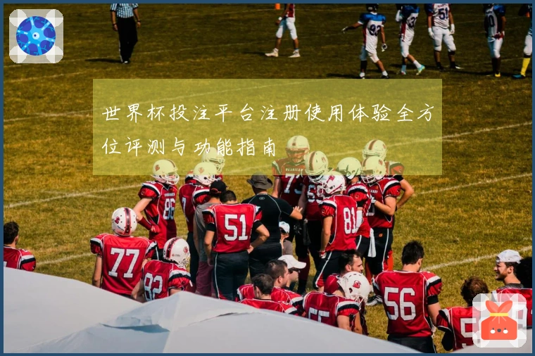 世界杯投注平台注册使用体验全方位评测与功能指南