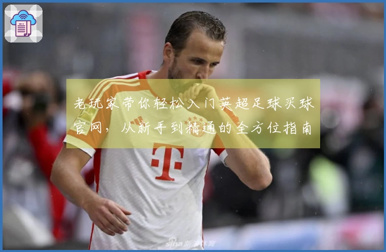 老玩家带你轻松入门英超足球买球官网，从新手到精通的全方位指南