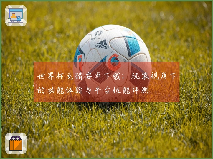 世界杯竞猜安卓下载：玩家视角下的功能体验与平台性能评测