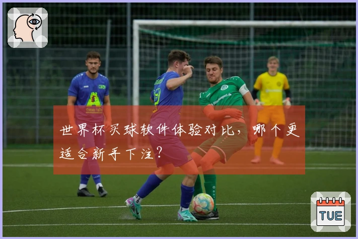 世界杯买球软件体验对比,哪个更适合新手下注?