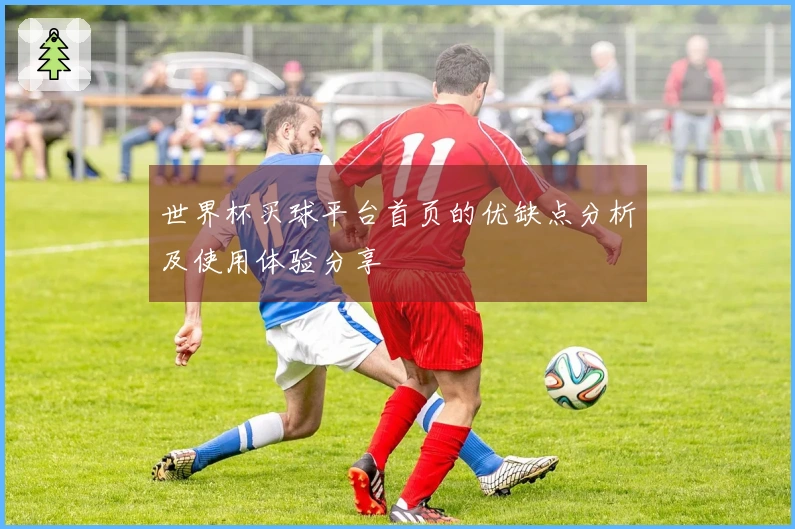 世界杯买球平台首页的优缺点分析及使用体验分享
