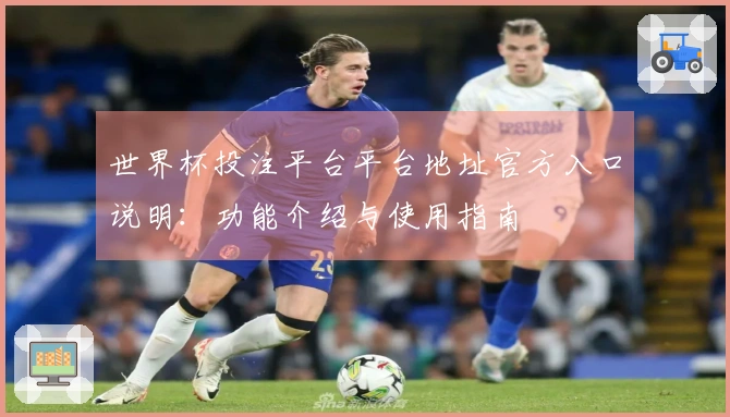 世界杯投注平台平台地址官方入口说明：功能介绍与使用指南