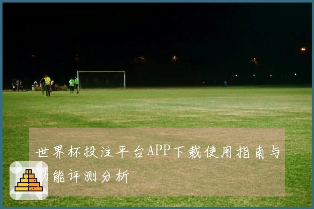 世界杯投注平台APP下载使用指南与功能评测分析