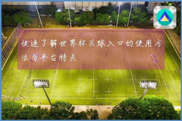 快速了解世界杯买球入口的使用方法与平台特点