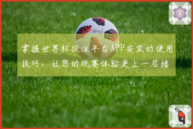 掌握世界杯投注平台APP安装的使用技巧，让您的观赛体验更上一层楼