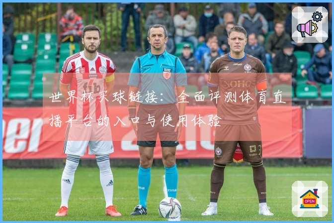 世界杯买球链接：全面评测体育直播平台的入口与使用体验