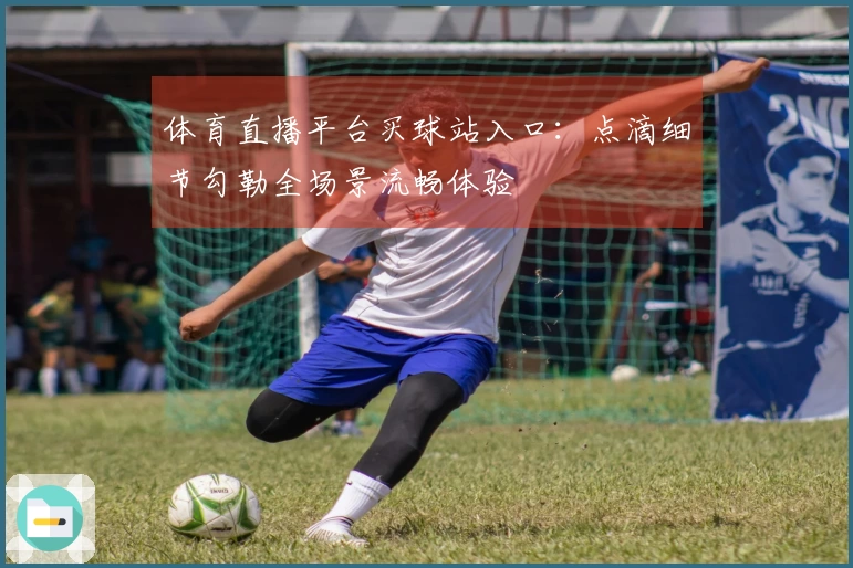 体育直播平台买球站入口：点滴细节勾勒全场景流畅体验