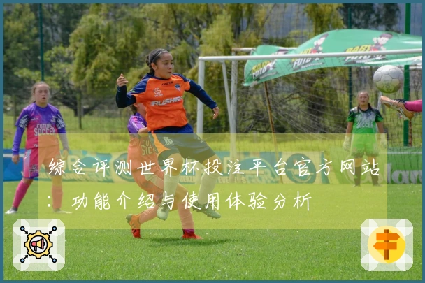 综合评测世界杯投注平台官方网站：功能介绍与使用体验分析