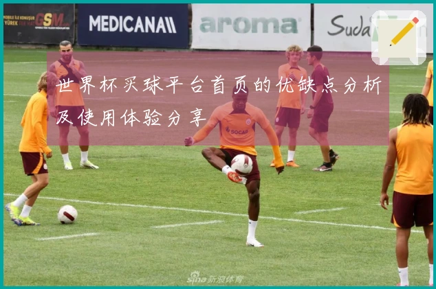 世界杯买球平台首页的优缺点分析及使用体验分享